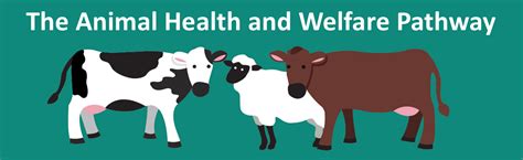 Animal Health and Welfare Section .